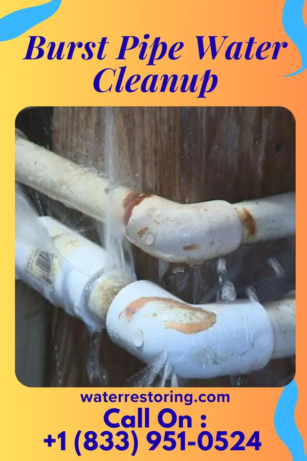 Burst Pipe Water Cleanup in Limaville, OH